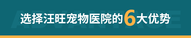 6大優勢